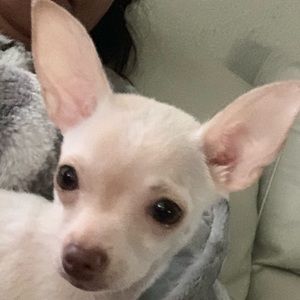 Meet your Posher, Tracy